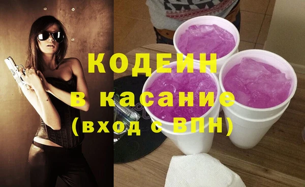 шишки Краснослободск