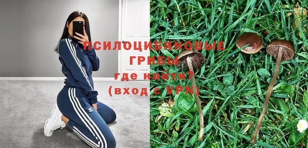 не бодяженный Кукмор