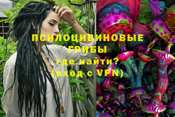 не бодяженный Кукмор