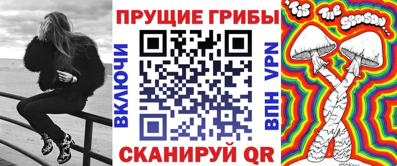Купить закладки  Добрянка  Галлюциногенные грибы Psilocybe 
